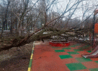 Падение большого дерева на детскую площадку
